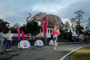 BIB: 
                            <button type="button" onclick="openModal(26529446)" class="btn btn-primary btn-sm float-right btn-popup" data-toggle="modal" data-target=".modal-high-quality">
                        <i class="fas fa-shopping-cart"></i> Add to Cart
                    </button>
                                            <button type="button" onclick="isThisMe(26529446, true)" class="btn btn-success btn-sm float-right btn-popup btn-isme hidden" data-toggle="tooltip" data-placement="bottom" title="นี่คือรูปของคุณใช่ไหม คลิกที่นี่เพื่อเอาเข้าอัลบั้ม">
                        <i class="fas fa-plus"></i> Add to album
                    </button>
                    <button type="button" onclick="isThisMe(26529446, false)" class="btn btn-warning btn-sm float-right btn-popup btn-isnotme hidden">
                        <i class="fas fa-ban"></i> Remove from album
                    </button>